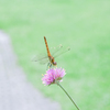 2023/07/06 決まったね・・・(^^♪