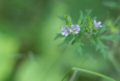 2025/05/23 気になって・・・♡