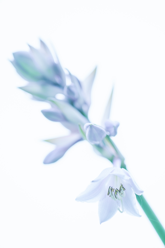 静かなひと・・・♡