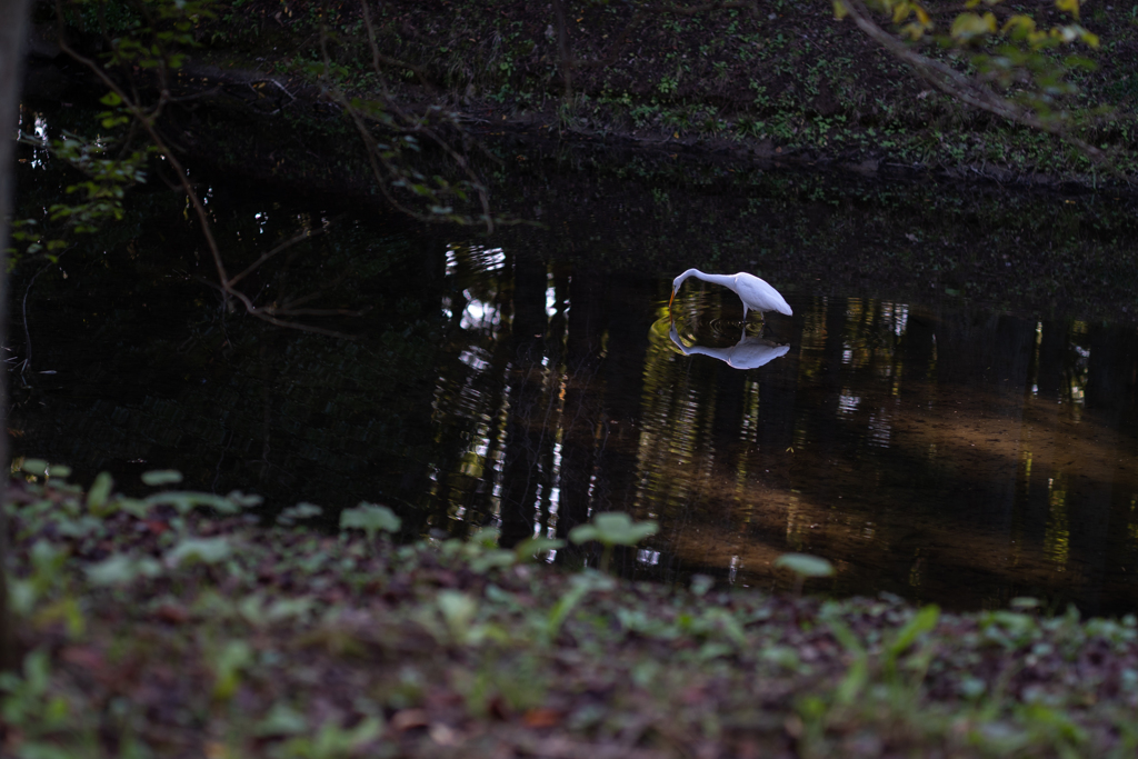 2025/10/15 鏡よ、鏡・・・♡