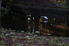 2025/10/15 鏡よ、鏡・・・♡