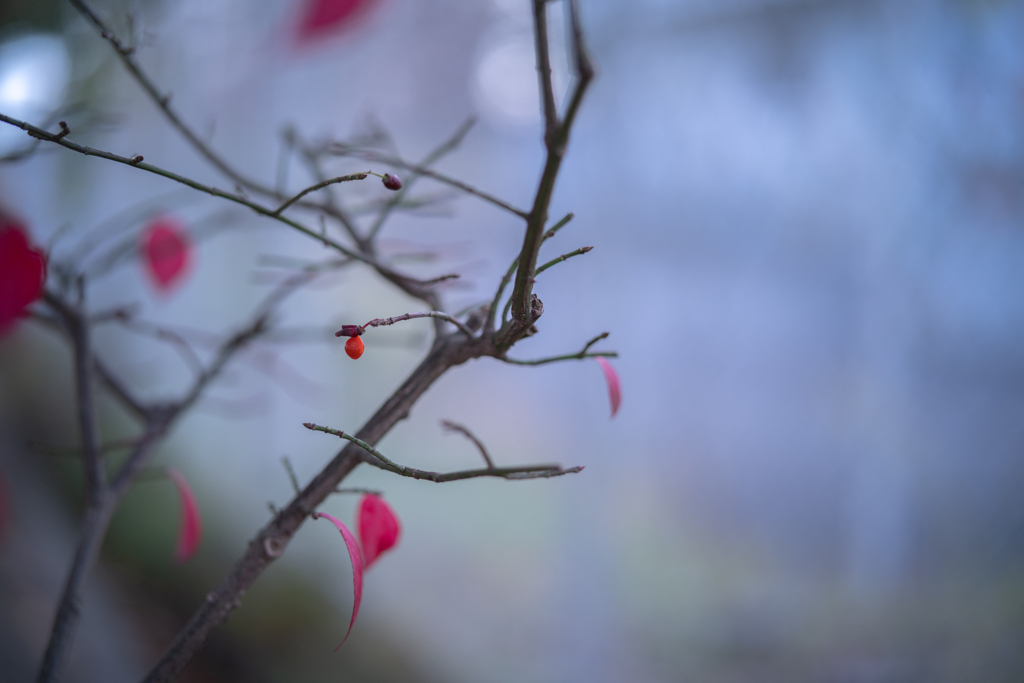 2025/11/08 やっと・・・♡