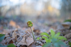 2025/11/20 枯れ野でお茶目に・・・♥