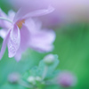 耐え忍ぶ愛・・・♥