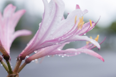 20210823 雨が上がれば・・・(^^♪