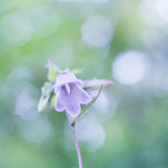 悲しいときのきみが好き・・・♡