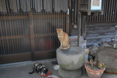 2023/04/28 からっぽ・・・(^^♪