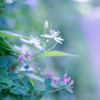 内気な愛情・・・♡