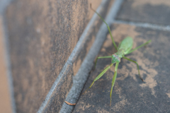 2025/11/30 笑ってまたね・・・(^^♪