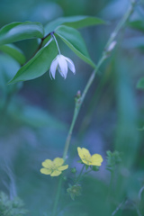 恥ずかしがりや・・・♡
