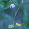 恥ずかしがりや・・・♡
