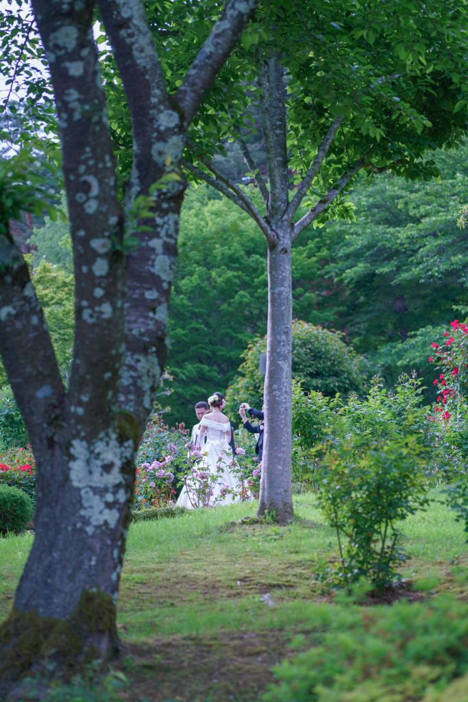 June bride ♡