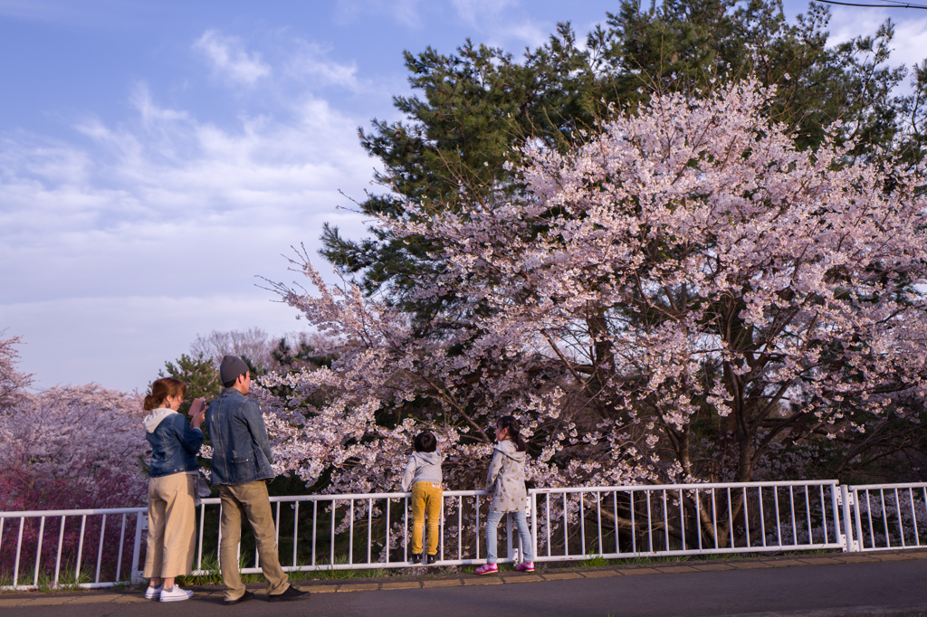 ＊桜♡family