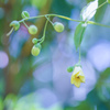 “幸せ”はひそやかに・・・♡