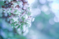 時を重ねて・・・♡