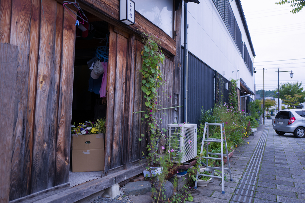 路傍の彩り・・・♬