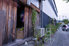 路傍の彩り・・・♬