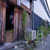 路傍の彩り・・・♬