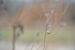 2025/11/19 でんでん・・・♥