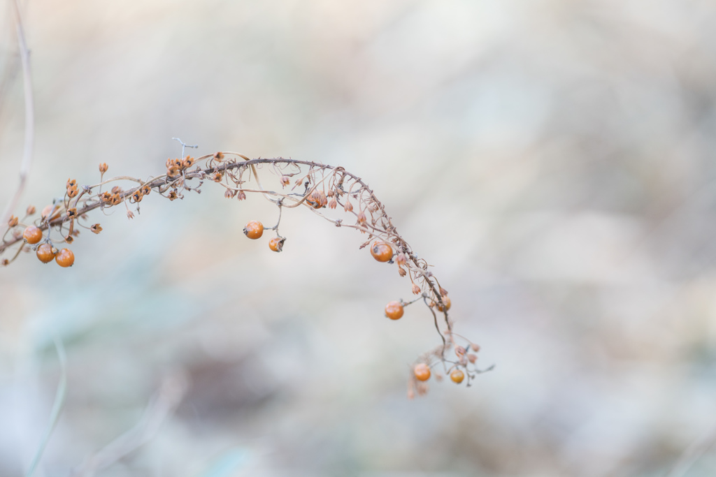 Natural art・・・♡
