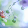 がんじがらめ・・・♥