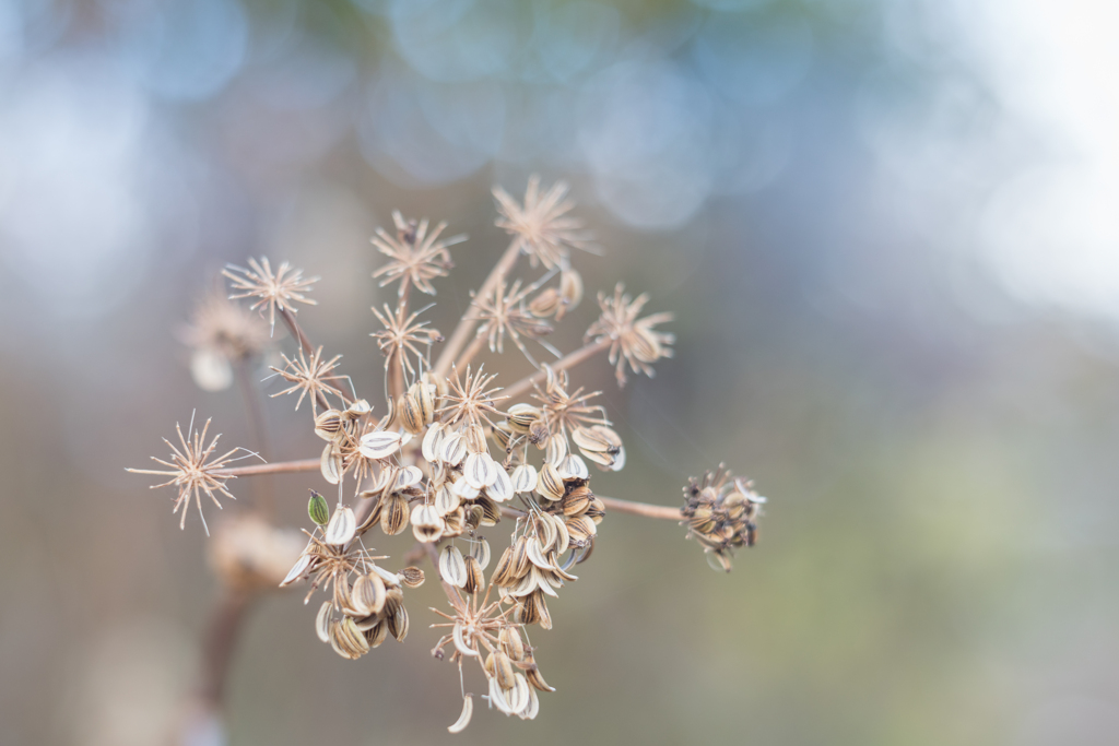 Natural art・・・♪