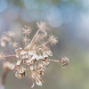 Natural art・・・♪