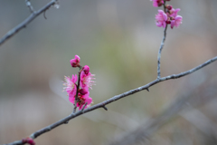 2026/02/06 後ろの正面だぁれ・・・♡