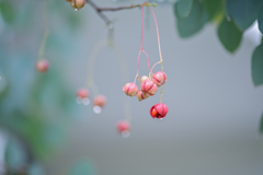 2024/09/14 雨が上がって・・・♡