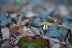 2026/02/05 楽しい予告・・・♡