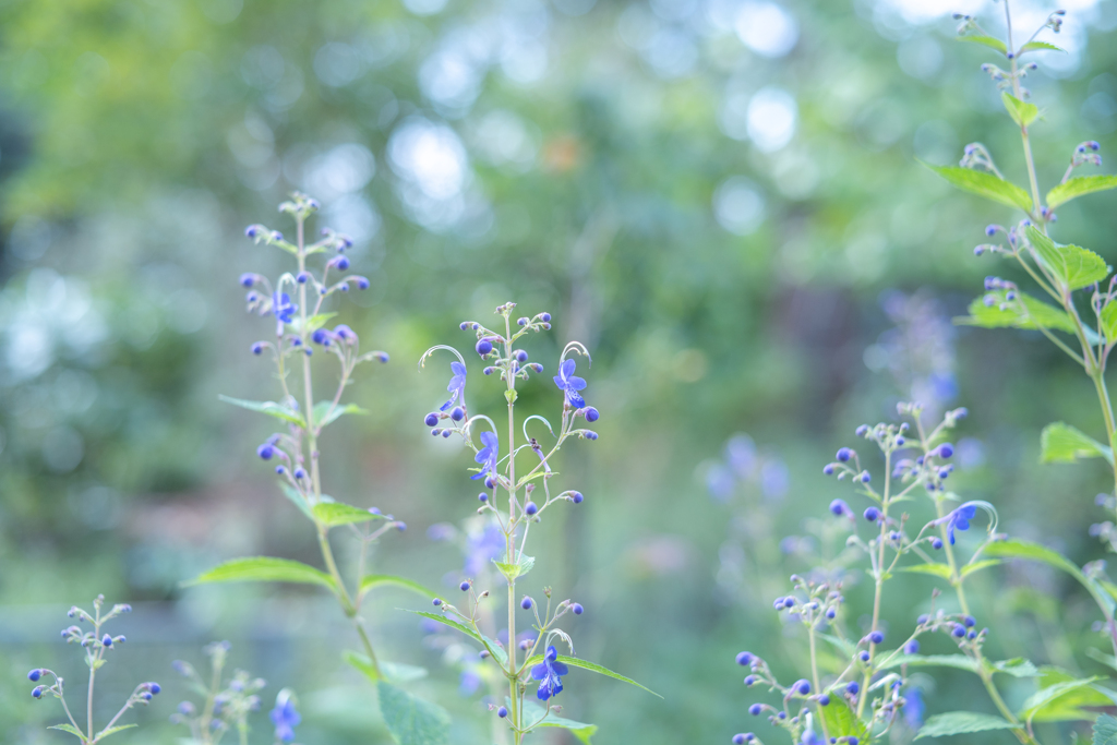2025/09/19 楽しい思い出・・・♡