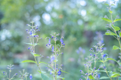 2025/09/19 楽しい思い出・・・♡