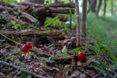 2025/09/22 せつないたまごちゃんもいる・・・♥