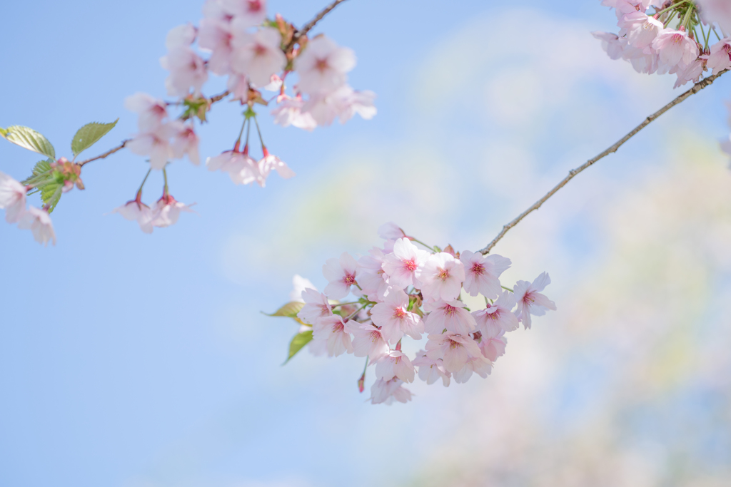 懐かしいね・・・♡