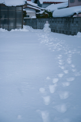 2025/02/12 寒波の合間に・・・(^^♪