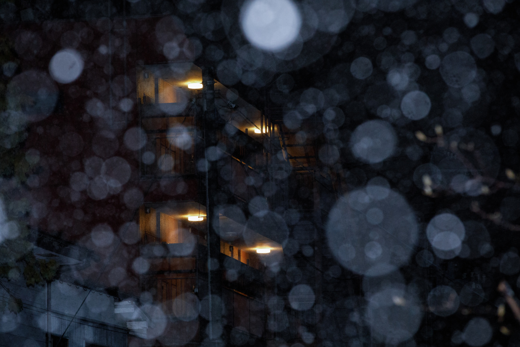 春の雪・・・