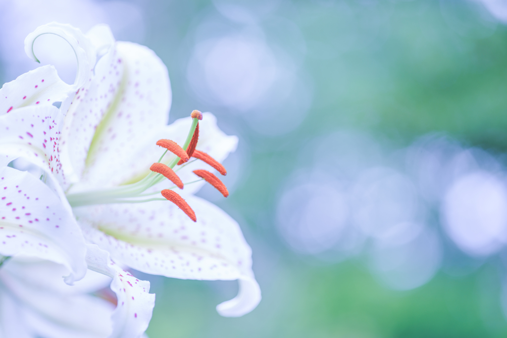 息苦しいほど芳しく・・・♡