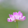 わたしの幸福・・・♡