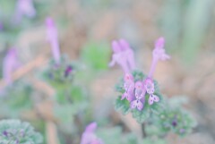 2025/03/11 ちいさな幸せ・・・♡