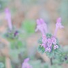 2025/03/11 ちいさな幸せ・・・♡