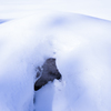 雪解けアート・・・♬