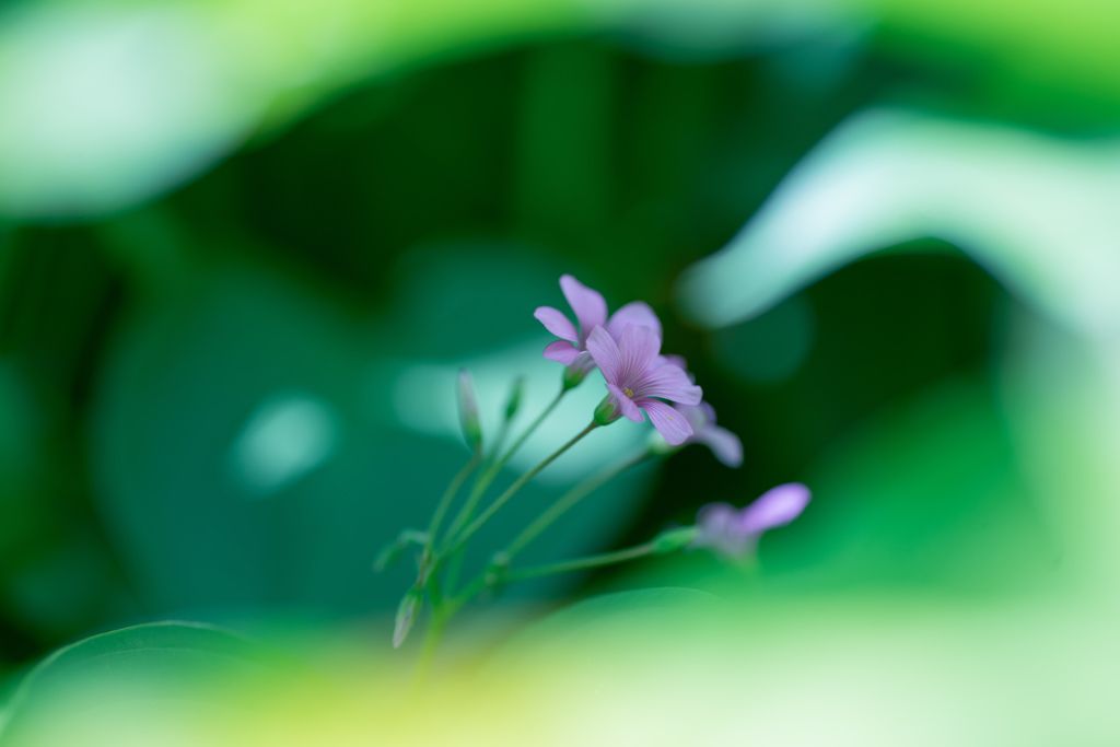 心で感じる・・・♥