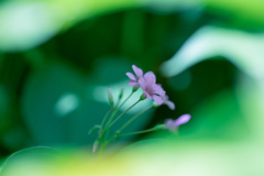 心で感じる・・・♥