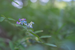 2025/09/22 思案・・・♡