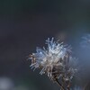＊2024/12/02 Winter art・・・♡