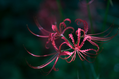 想うはあなたひとり・・・♥