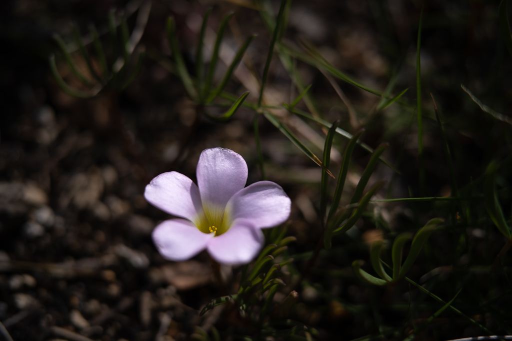 2025/11/05 うちの・・・♡