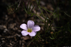 2025/11/05 うちの・・・♡