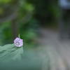 2024/06/07 退屈・・・♡