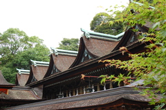 長門一ノ宮　住吉神社